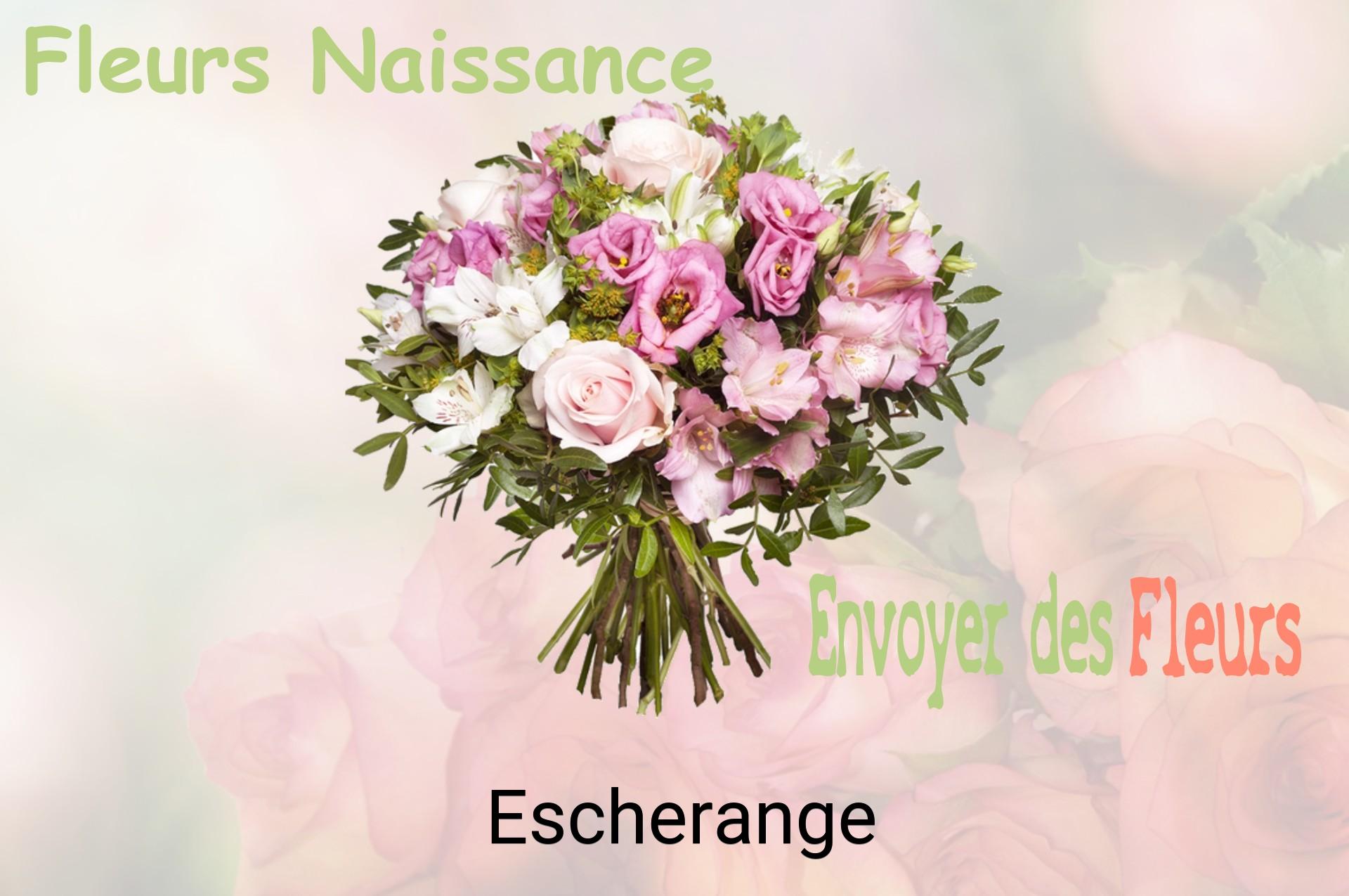 Bouquet de fleurs de naissance livré à Escherange
